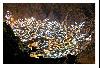 Quetta