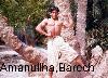 Previous picture :: Mr,Amanullah,barech