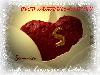 s.m.shah