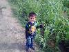 haris niaz jattak