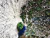 Next picture :: white blue peacock