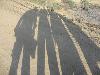 Guess who we are ? ? ? ?