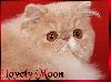 Next picture :: lovely m0on