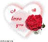 Next picture :: For Lovers