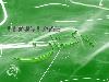 I LOVE PAKISTAN