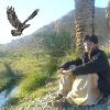 Next picture :: Saddam Haleem
