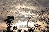 Previous picture ::  A beautiful view of changed climate