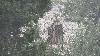 Next picture :: zirat trees