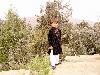 Next picture :: zarit baba