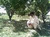 Next picture :: kalim ullah in kuchlak