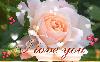 Next picture :: love