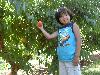 Next picture :: Muhammad yosuf
