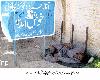World No Tobacco  Day in Quetta