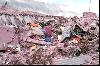 Quetta Quake 29 October