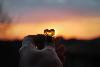 the fire of love