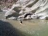 nuture water in harnai