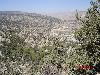 shahista  barechistan