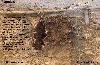 Laandi of Balochistan 