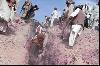 Ziarat Quake 29 october 2008