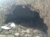 Next picture :: selab in harnai