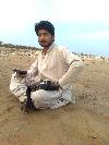 MALIK SAJID BANGULZAI