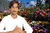 AQ Rehman
