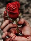 DONT HEART AGAIN