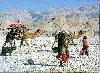 Wild Baluchistan