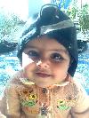 Bilqees zehri