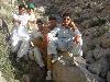 Previous picture :: King of Barech