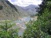 naran Lalazar