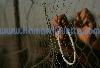 A Palestinian pilgrim holds prayer beads against a fence as they wait to pass from Gaza