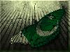 Pakistan Zindabad
