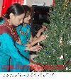 Christmas Preparation in Quetta