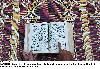 Reciting Holy Quran in a mosque during Holy Fasting Month of Ramzan