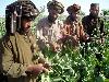 Afghanistan