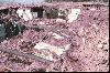 Ziarat Quake 29 october 2008
