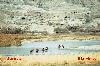 Previous picture :: This Saesta Afghanistan