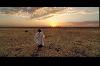 walk_to_beautiful