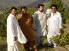 Previous picture :: Jk wahid gul arif