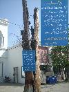 Next picture :: UET Tree Allah is Great. ( Wohe Khuda Hya )