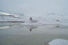Hanna Jheel with Snow