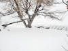 Snowfall 2008