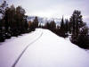 Road with Snow